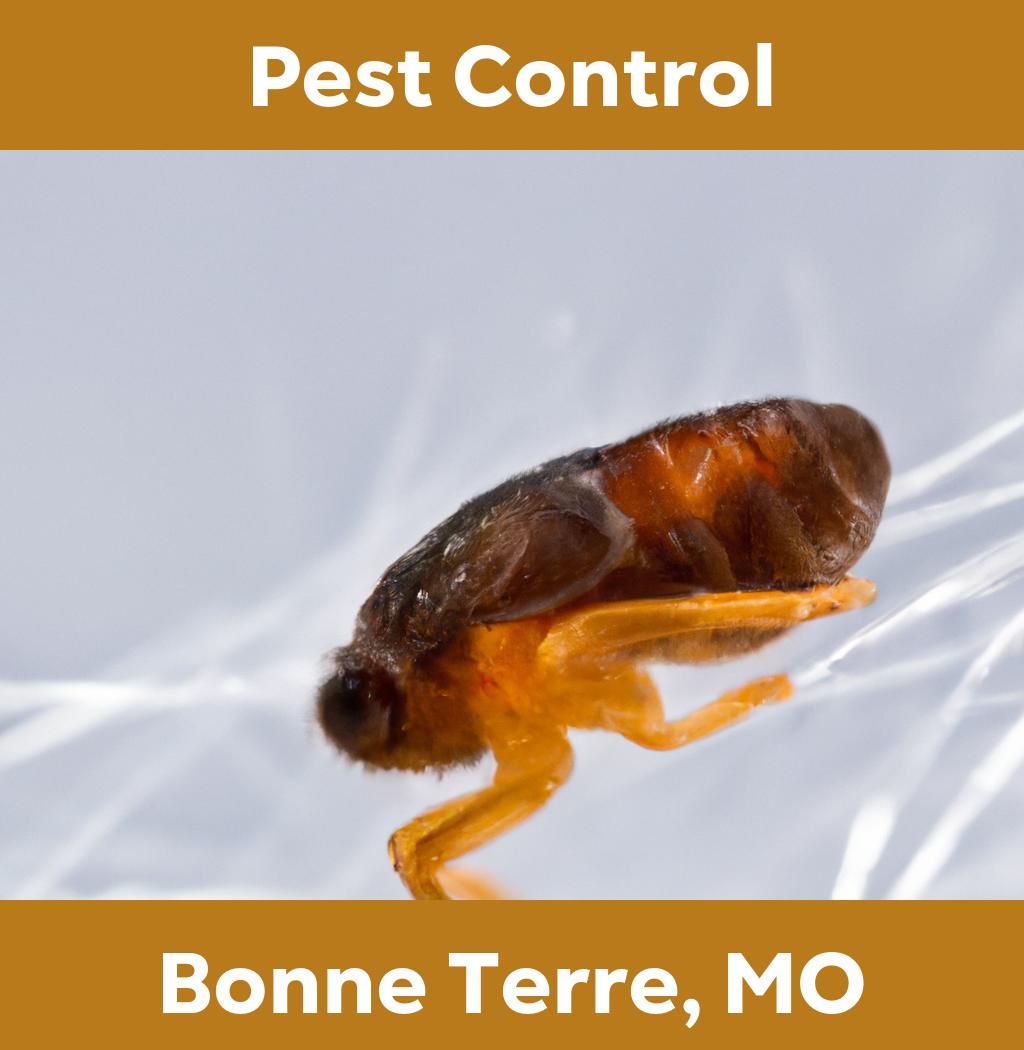 pest control in Bonne Terre Missouri