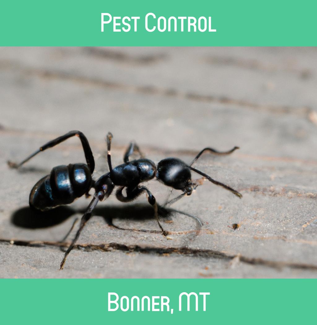 pest control in Bonner Montana