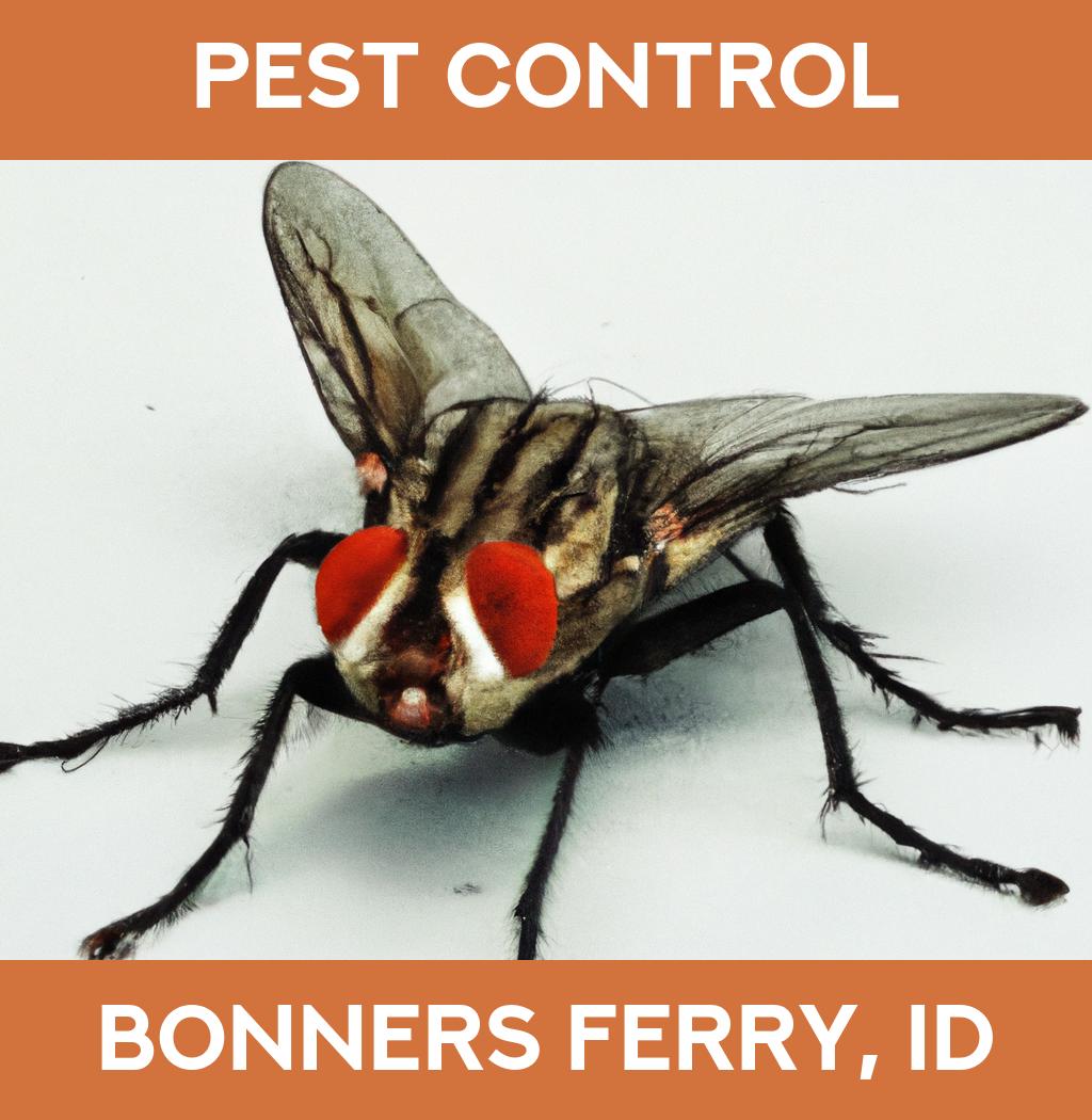 pest control in Bonners Ferry Idaho