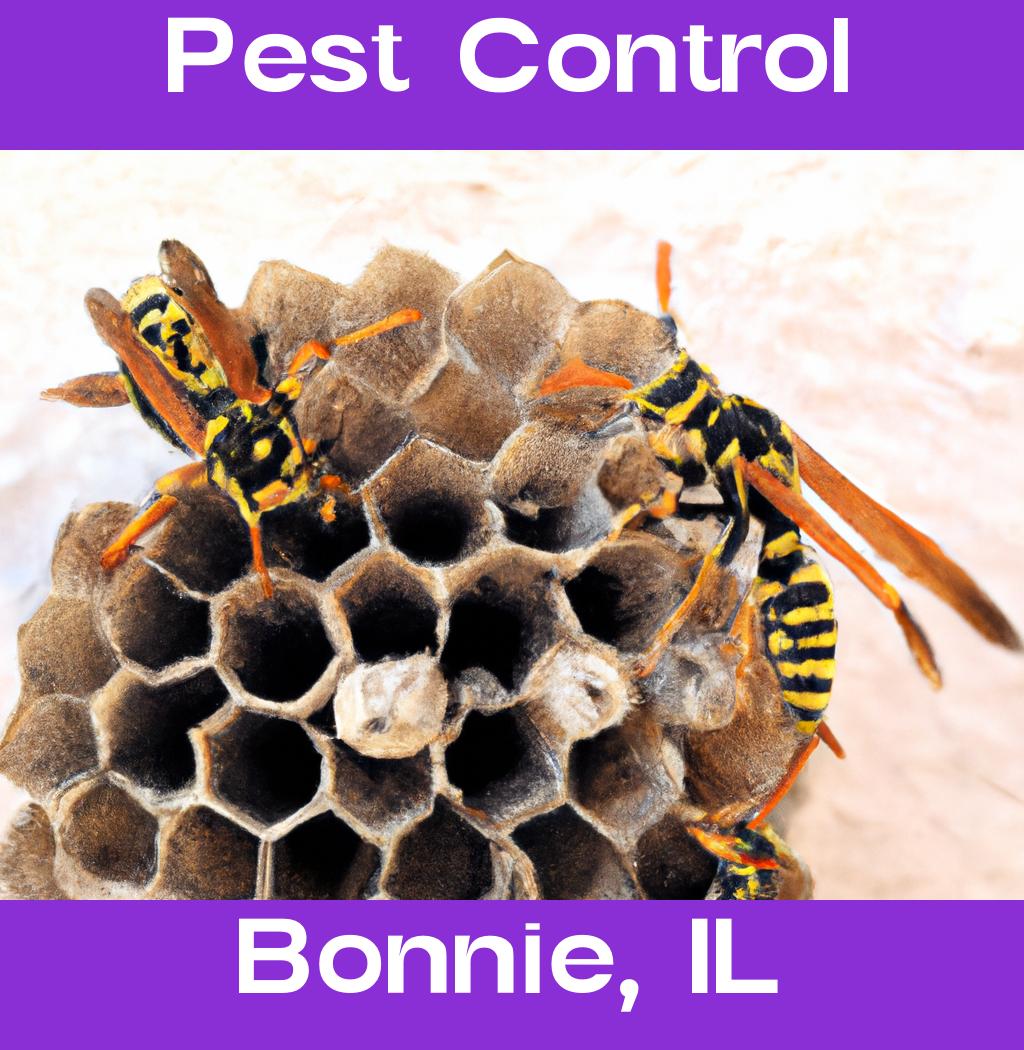 pest control in Bonnie Illinois
