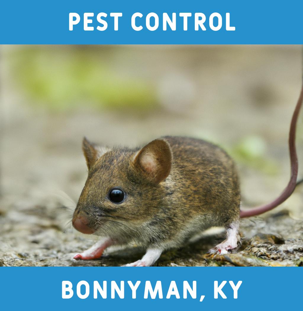 pest control in Bonnyman Kentucky