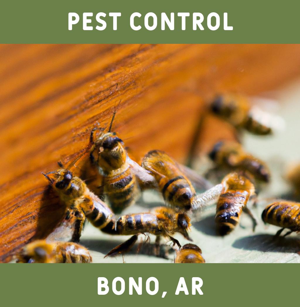 pest control in Bono Arkansas