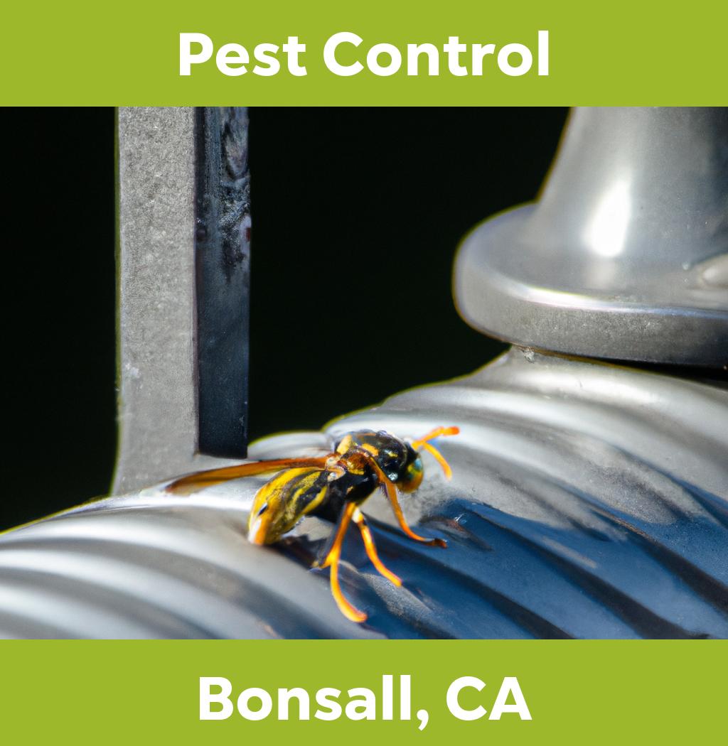 pest control in Bonsall California
