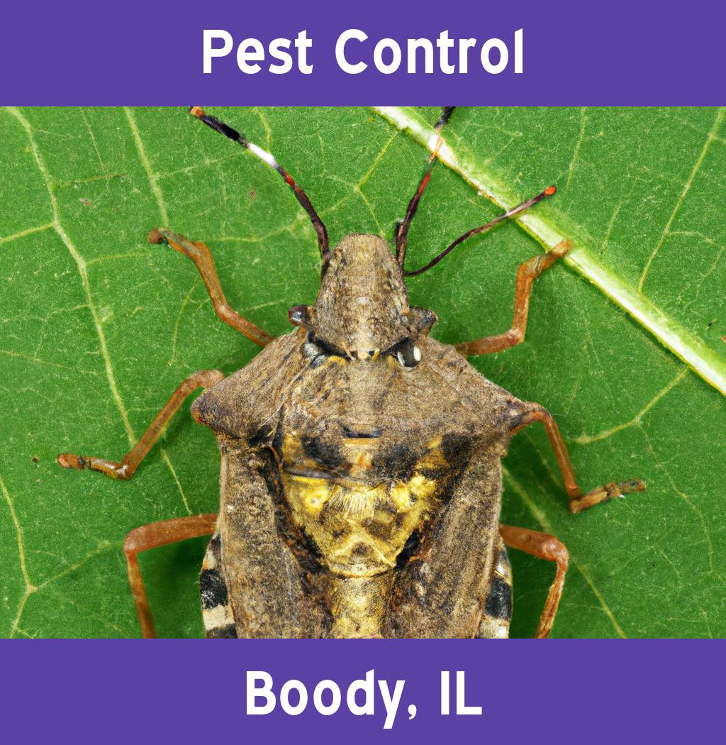 pest control in Boody Illinois