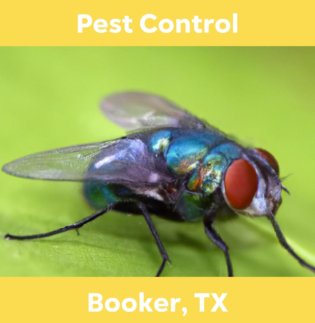 pest control in Booker Texas