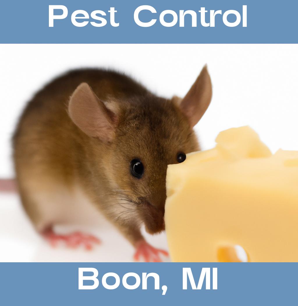 pest control in Boon Michigan
