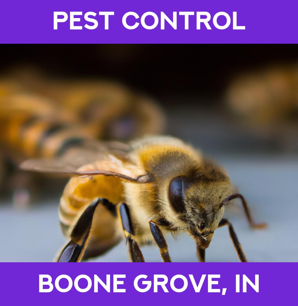 pest control in Boone Grove Indiana