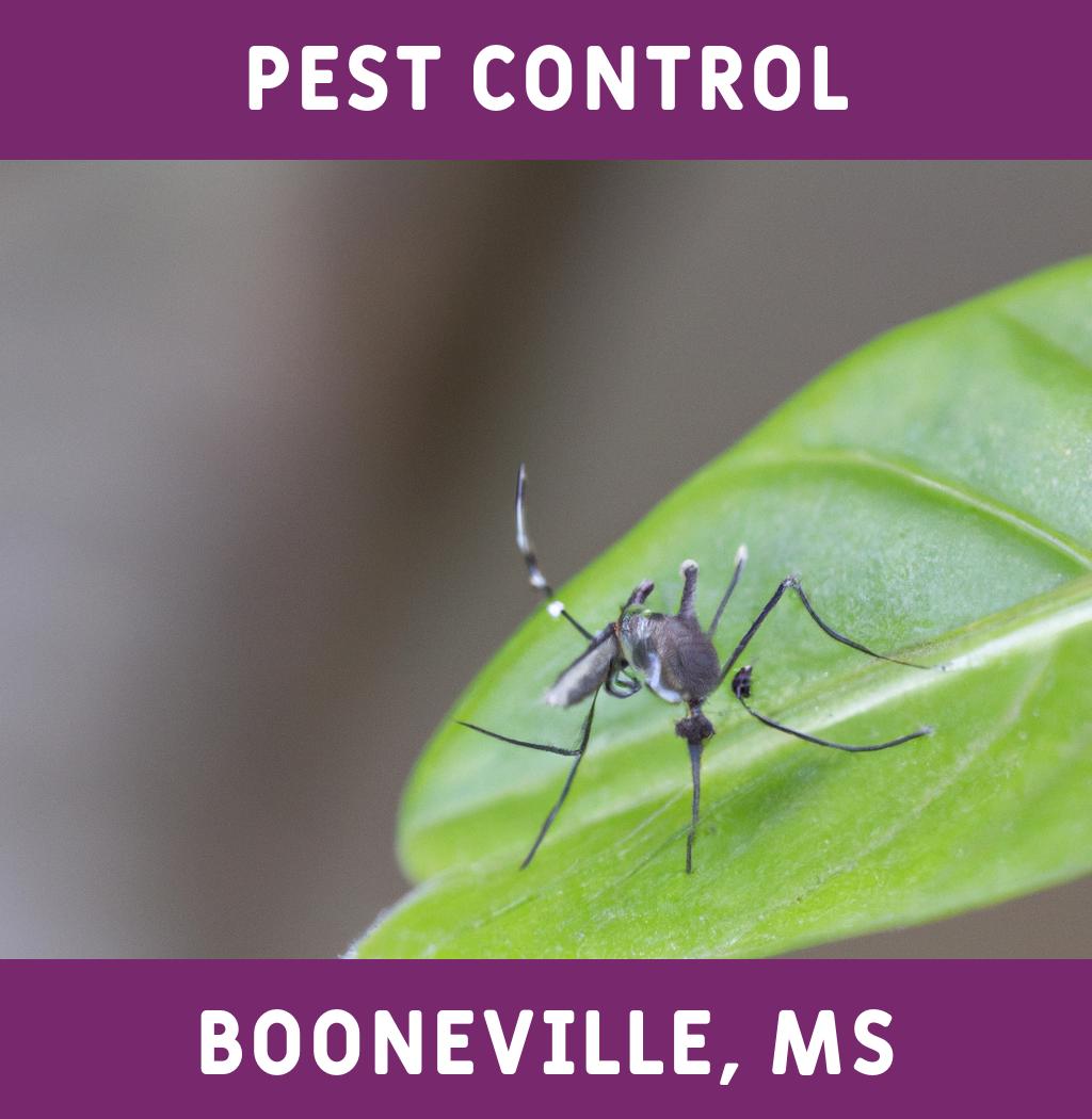 pest control in Booneville Mississippi