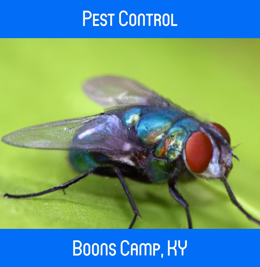 pest control in Boons Camp Kentucky