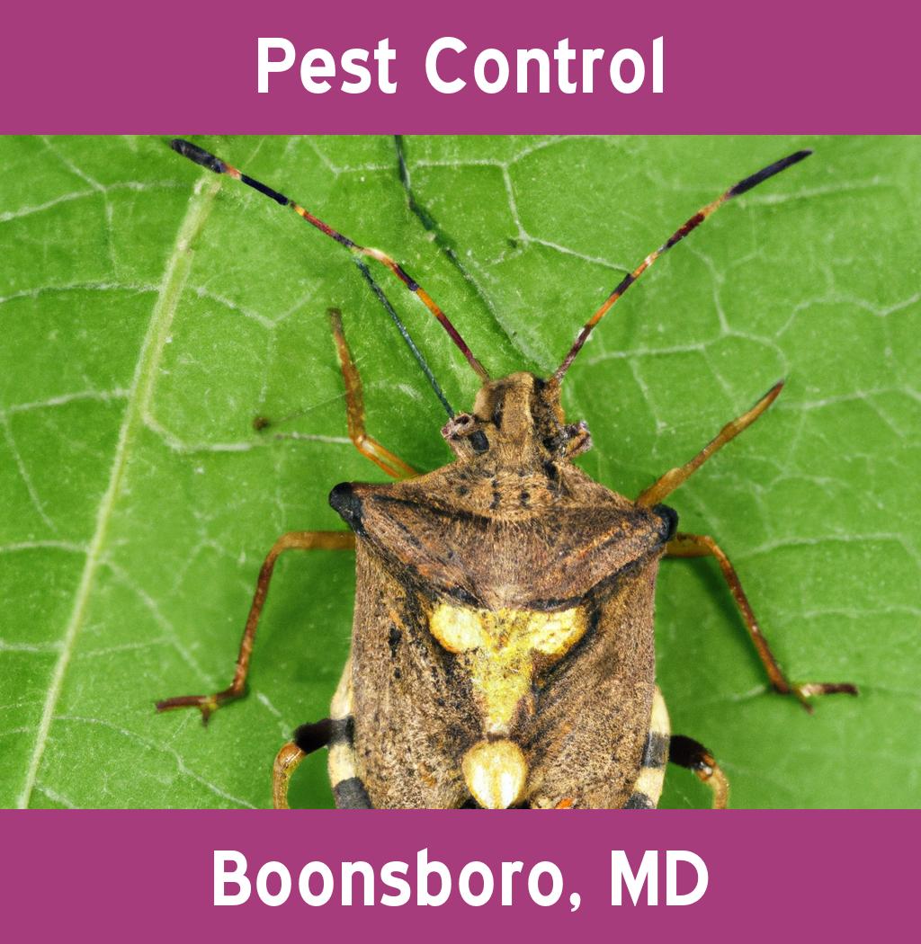 pest control in Boonsboro Maryland
