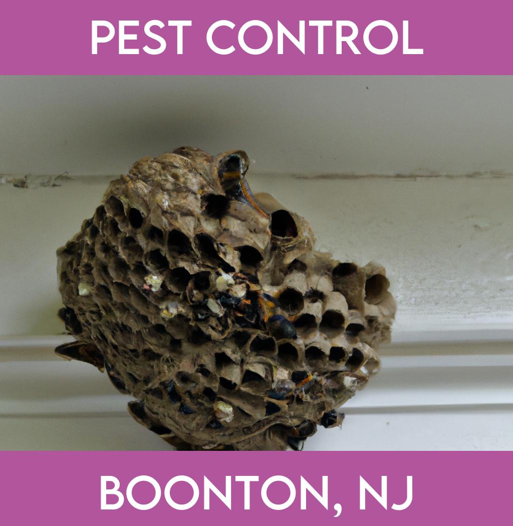 pest control in Boonton New Jersey