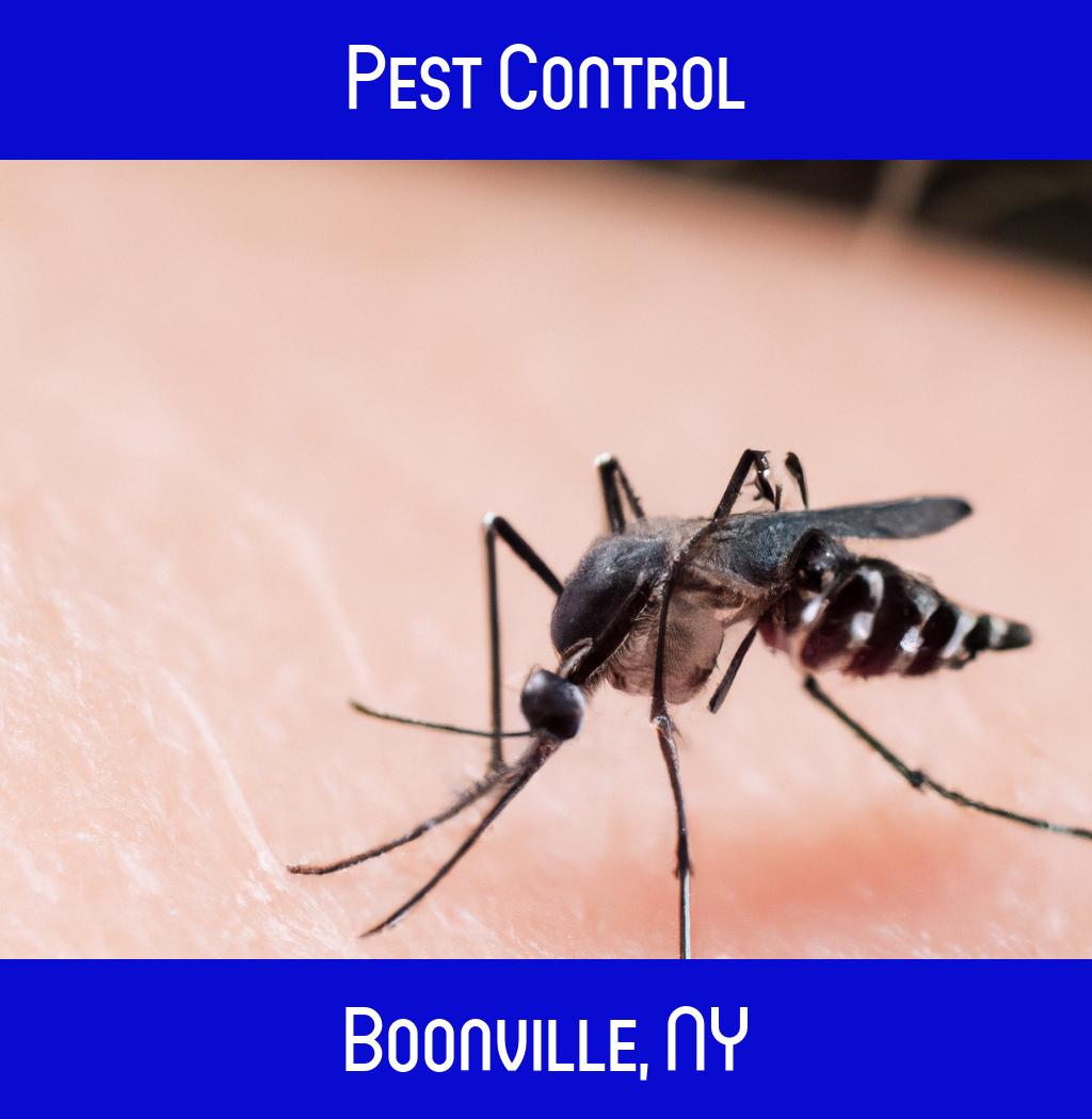 pest control in Boonville New York