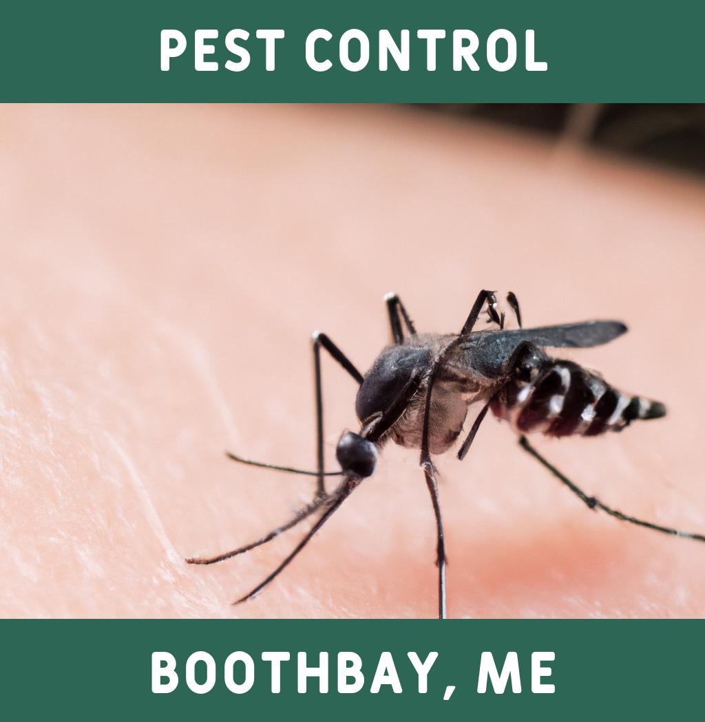 pest control in Boothbay Maine