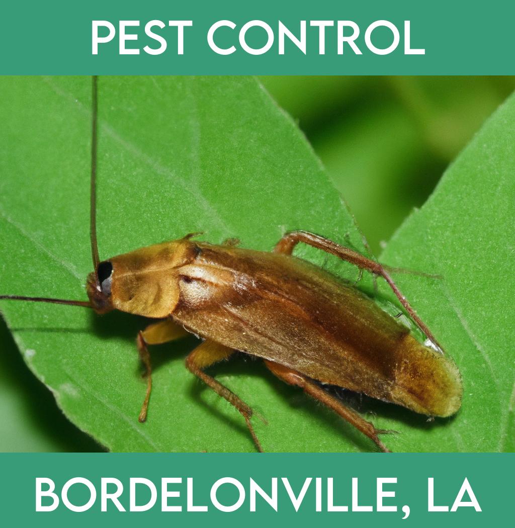 pest control in Bordelonville Louisiana