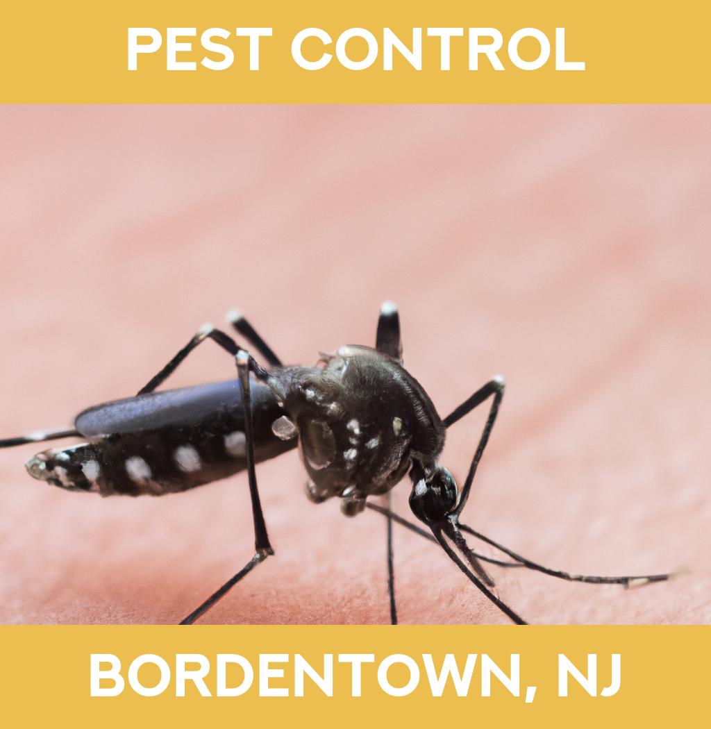pest control in Bordentown New Jersey