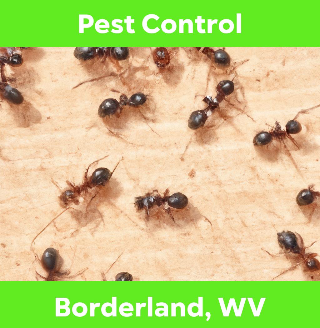 pest control in Borderland West Virginia