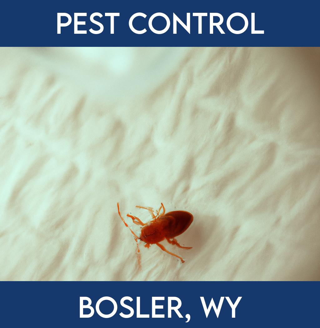 pest control in Bosler Wyoming