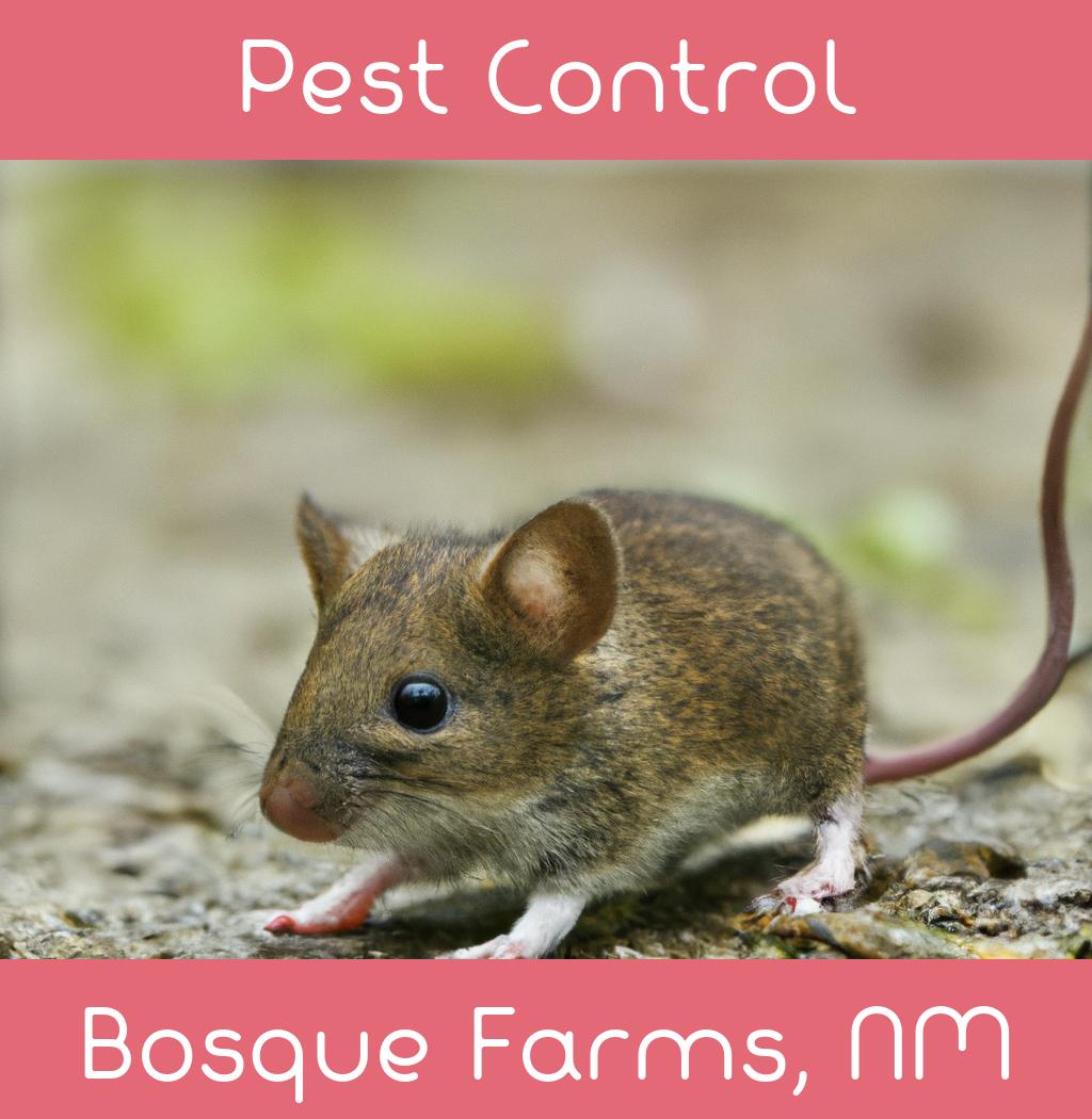 pest control in Bosque Farms New Mexico