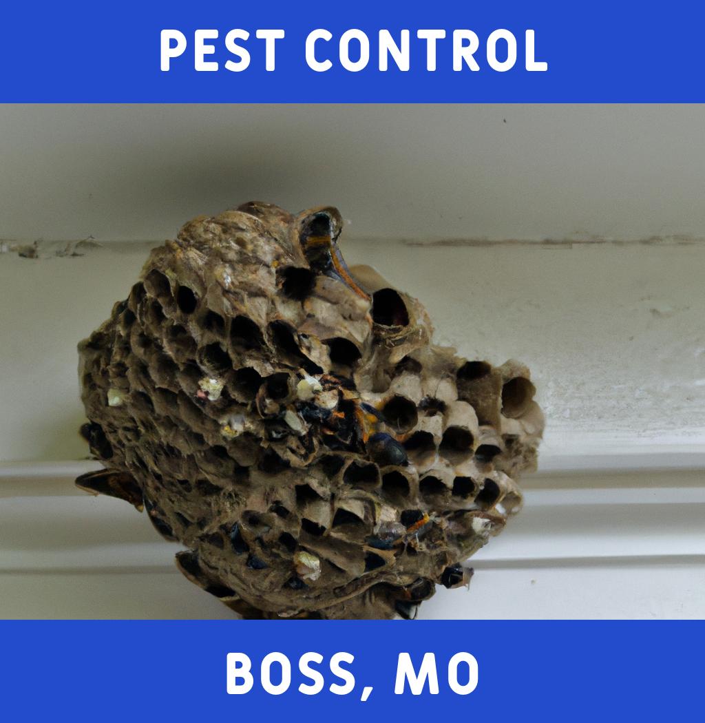 pest control in Boss Missouri