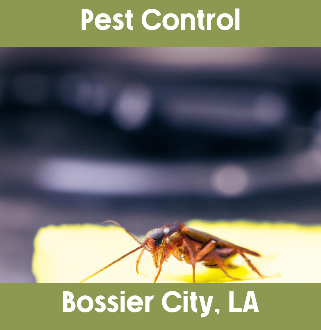 pest control in Bossier City Louisiana