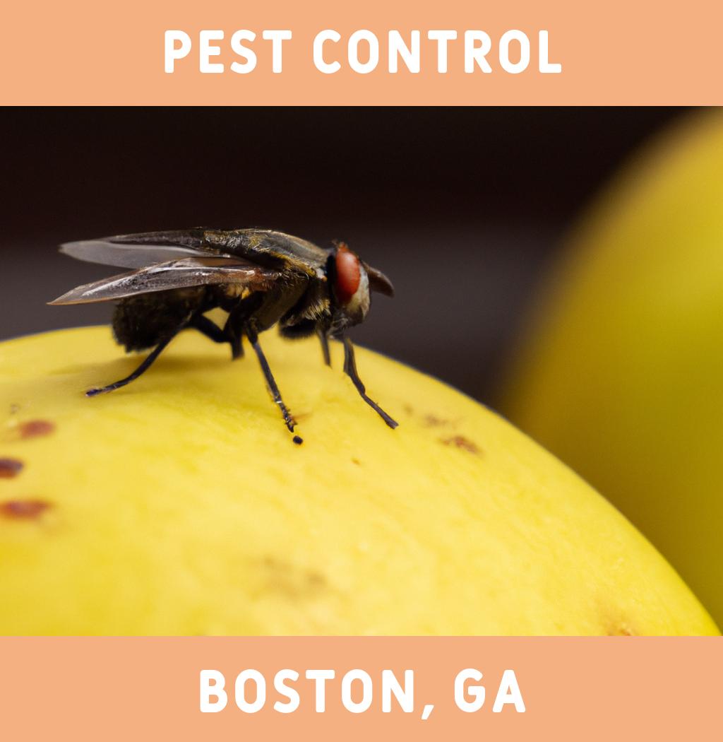 pest control in Boston Georgia
