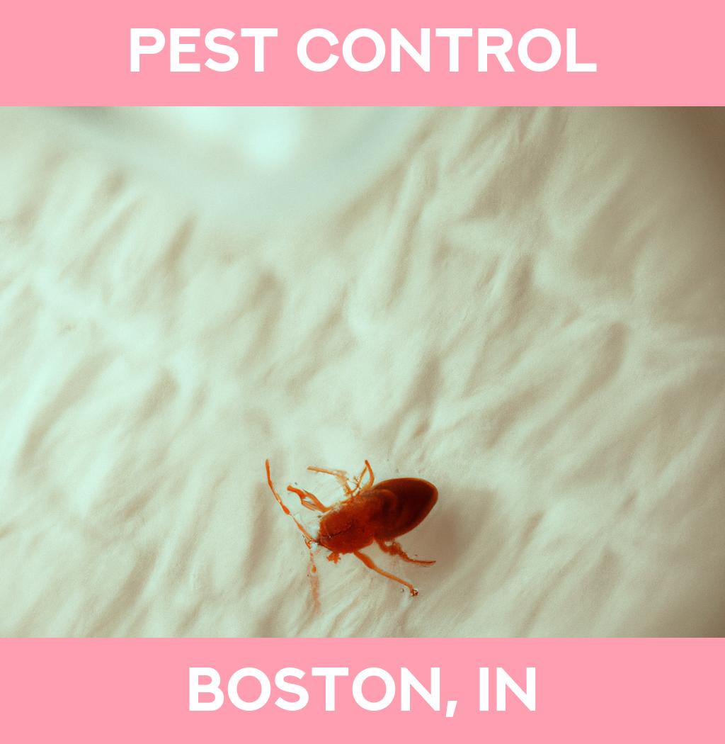 pest control in Boston Indiana