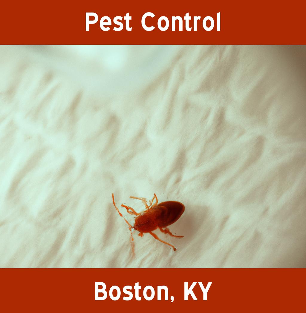 pest control in Boston Kentucky