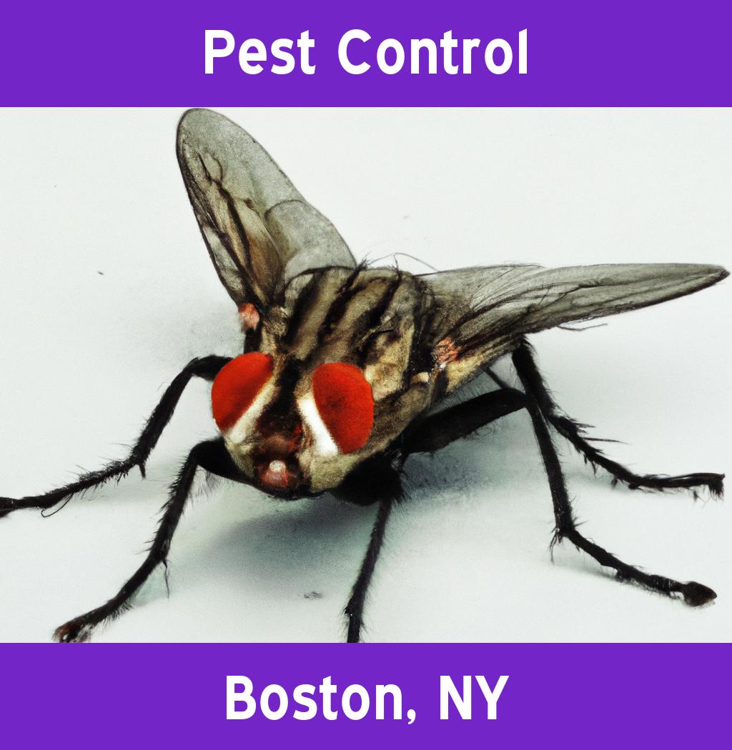 pest control in Boston New York