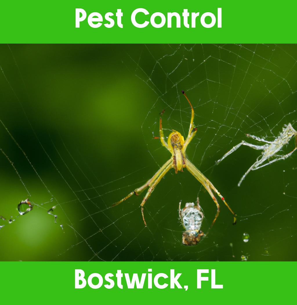pest control in Bostwick Florida