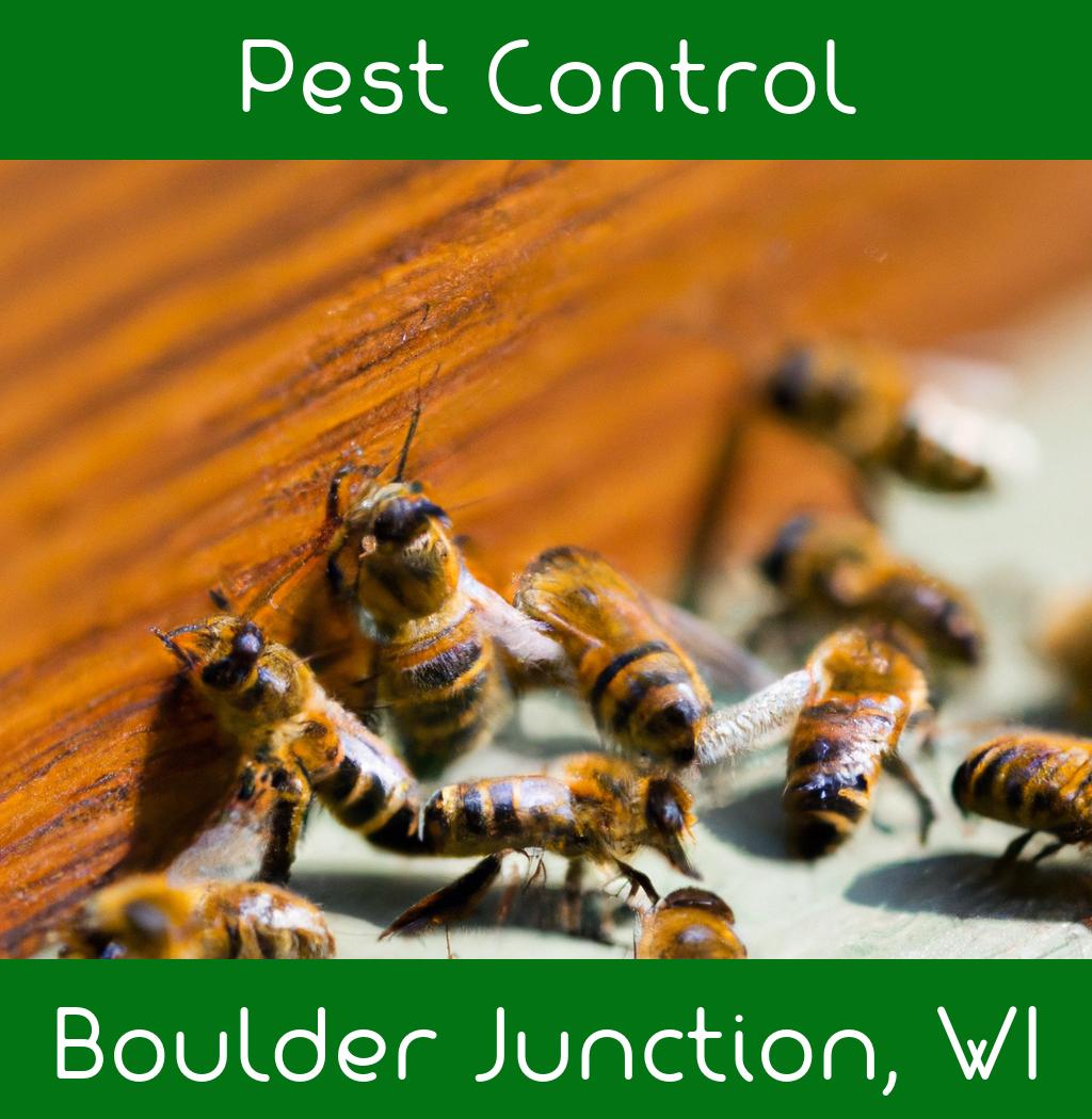 pest control in Boulder Junction Wisconsin