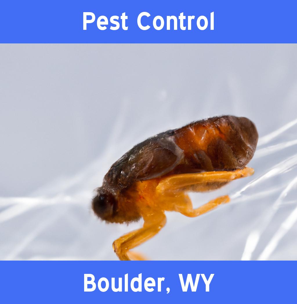 pest control in Boulder Wyoming