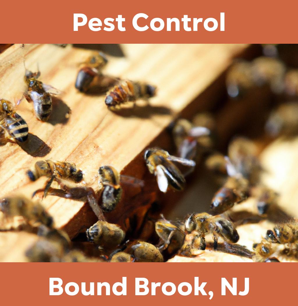 pest control in Bound Brook New Jersey