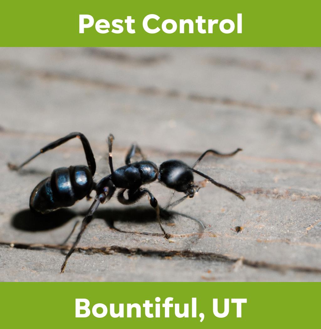 pest control in Bountiful Utah