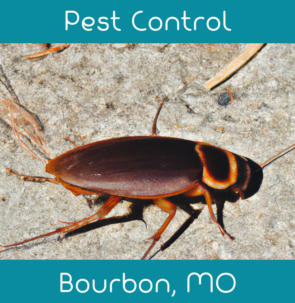 pest control in Bourbon Missouri