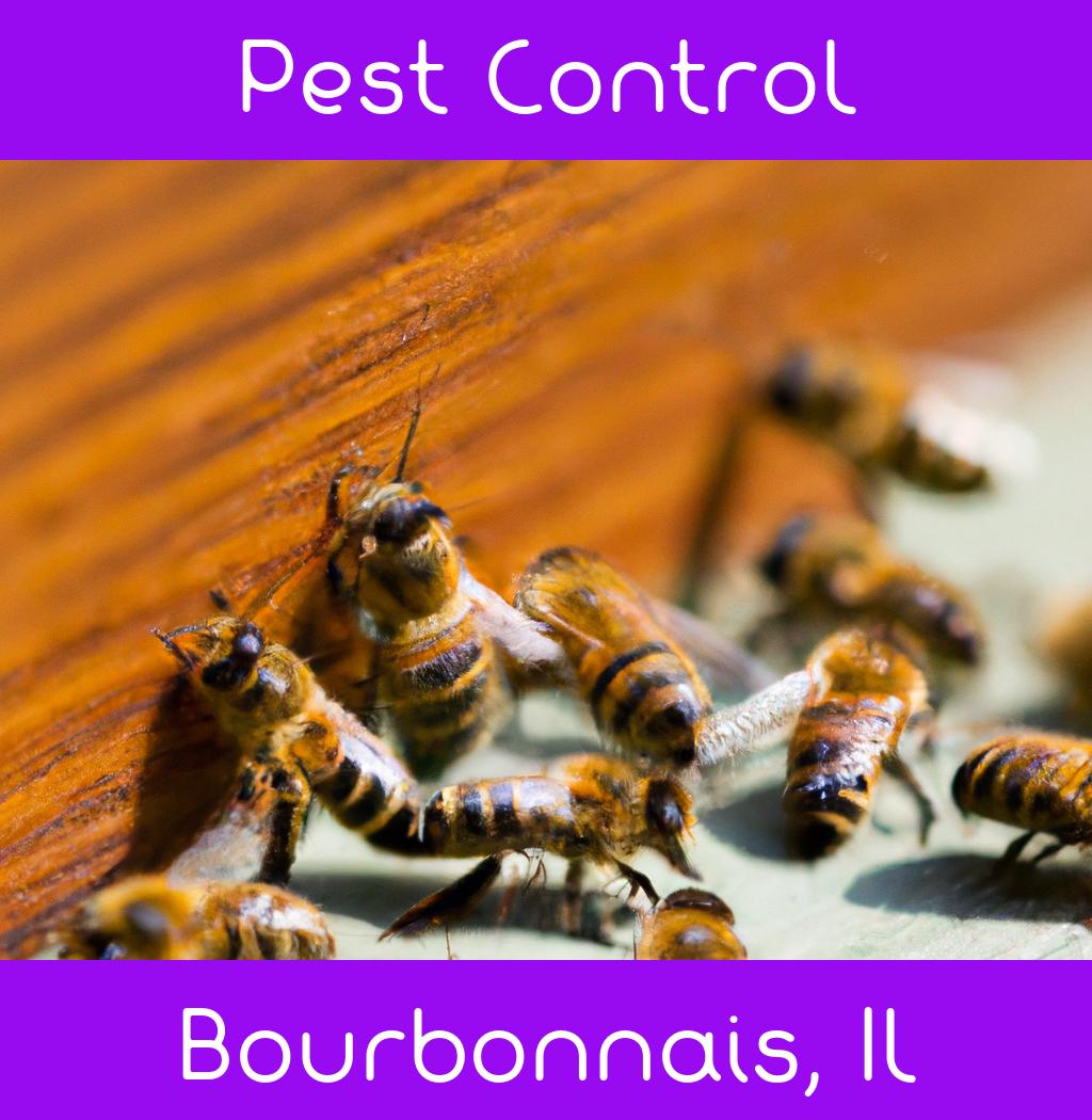pest control in Bourbonnais Illinois