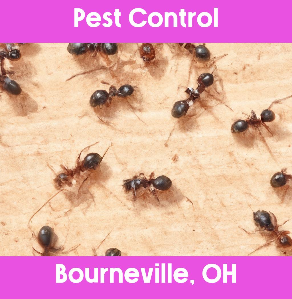 pest control in Bourneville Ohio