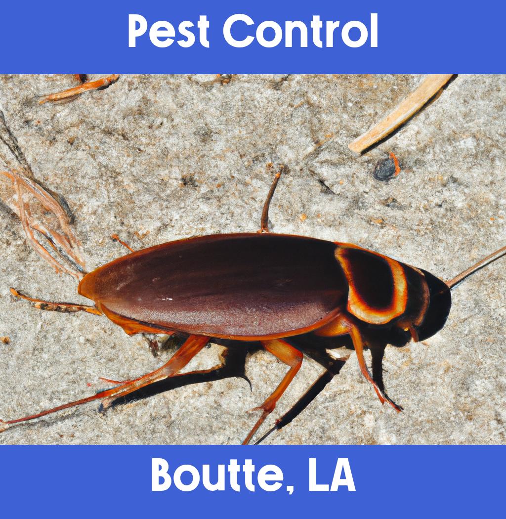 pest control in Boutte Louisiana