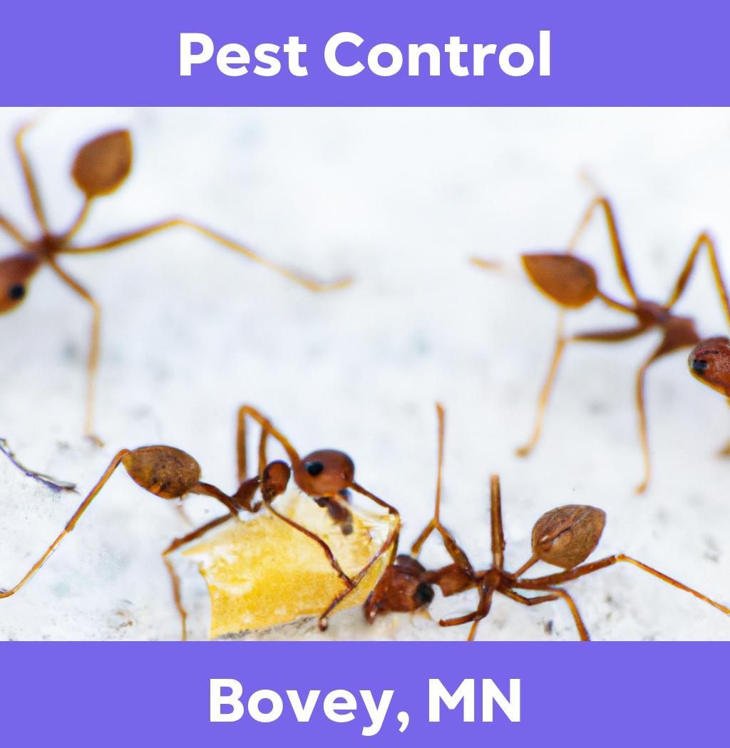 pest control in Bovey Minnesota