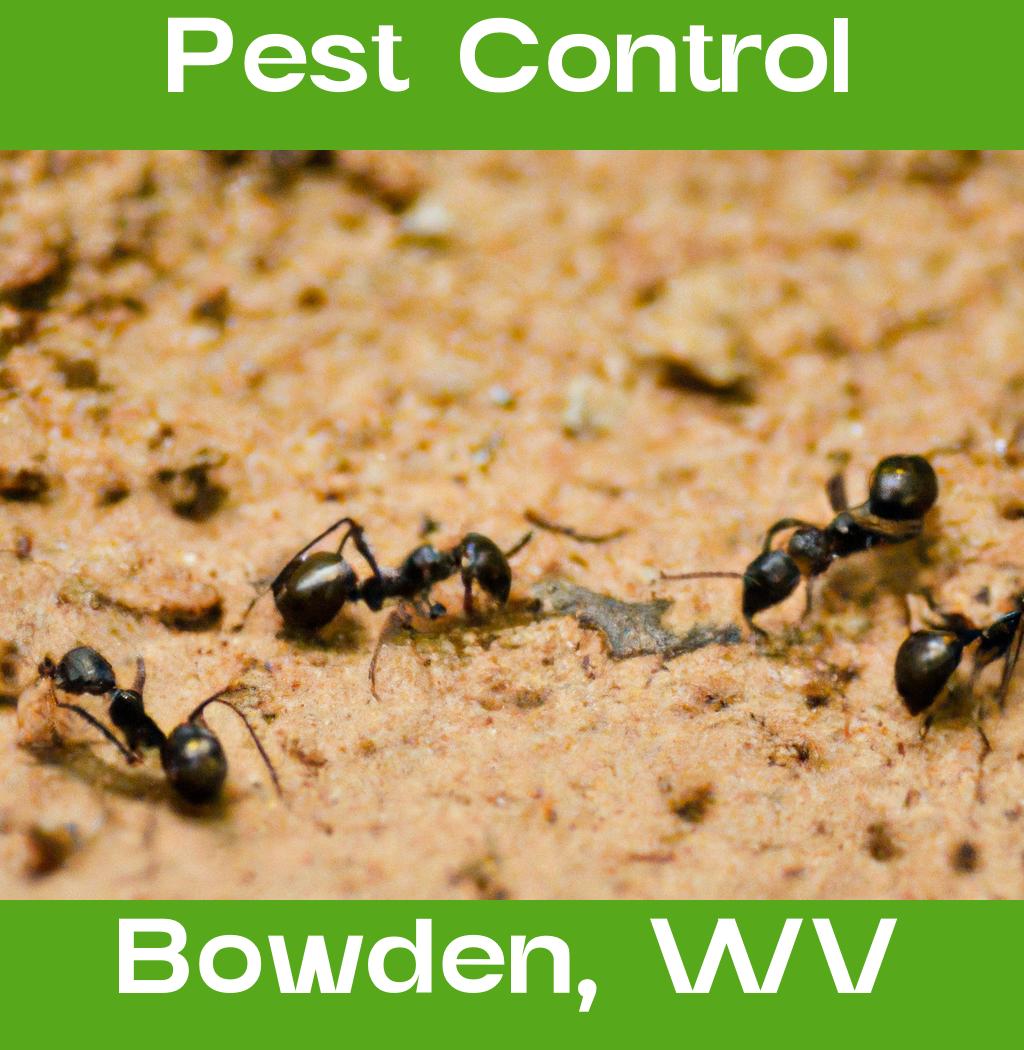 pest control in Bowden West Virginia