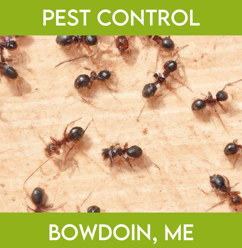 pest control in Bowdoin Maine