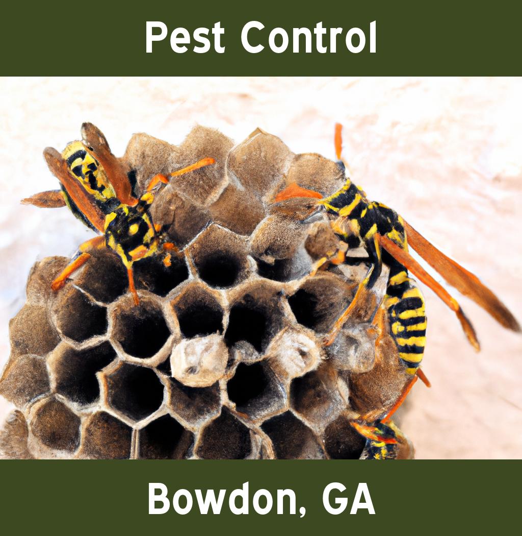 pest control in Bowdon Georgia