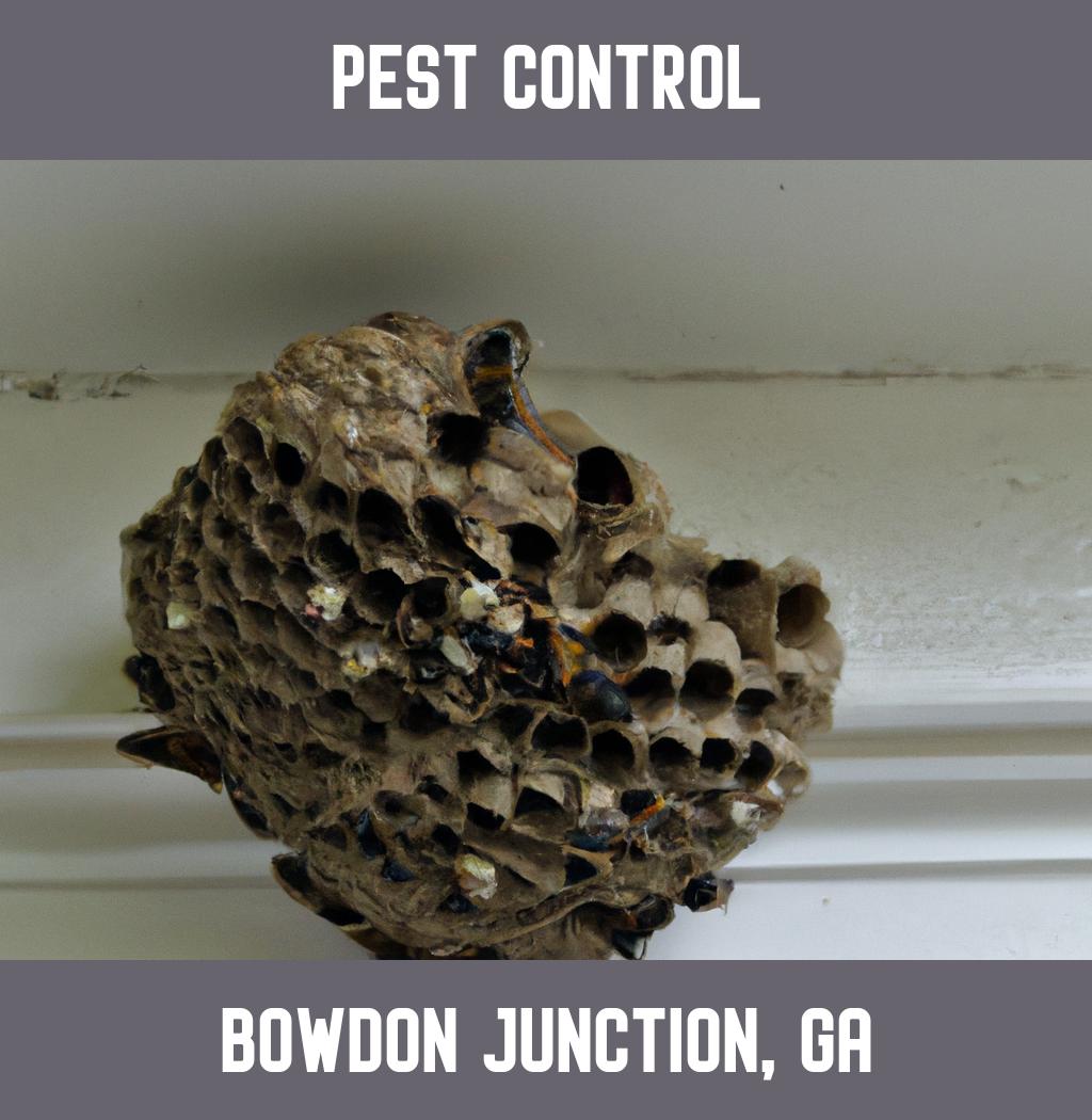 pest control in Bowdon Junction Georgia