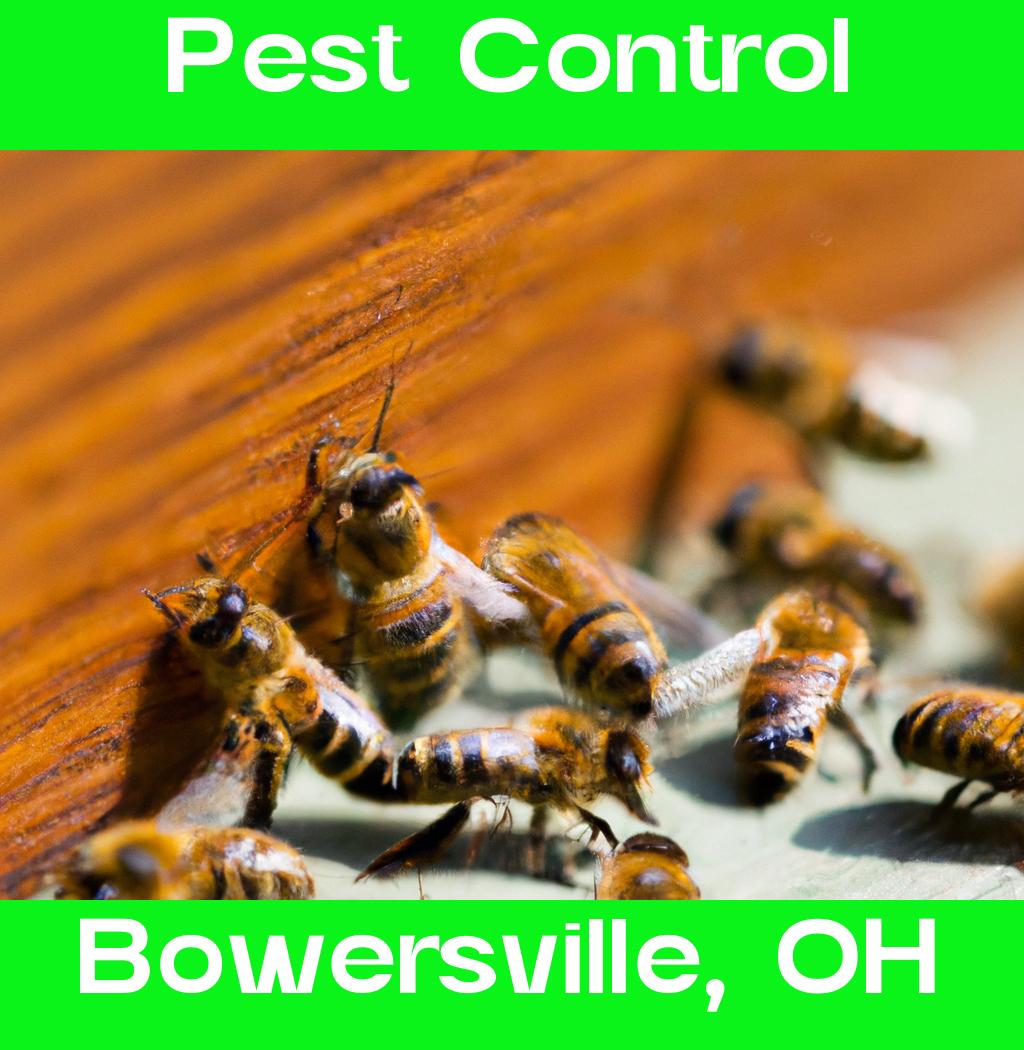 pest control in Bowersville Ohio