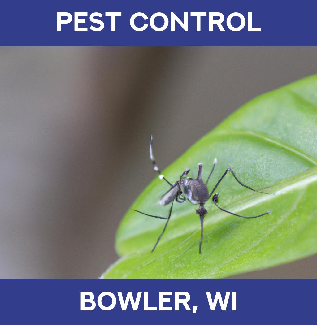 pest control in Bowler Wisconsin