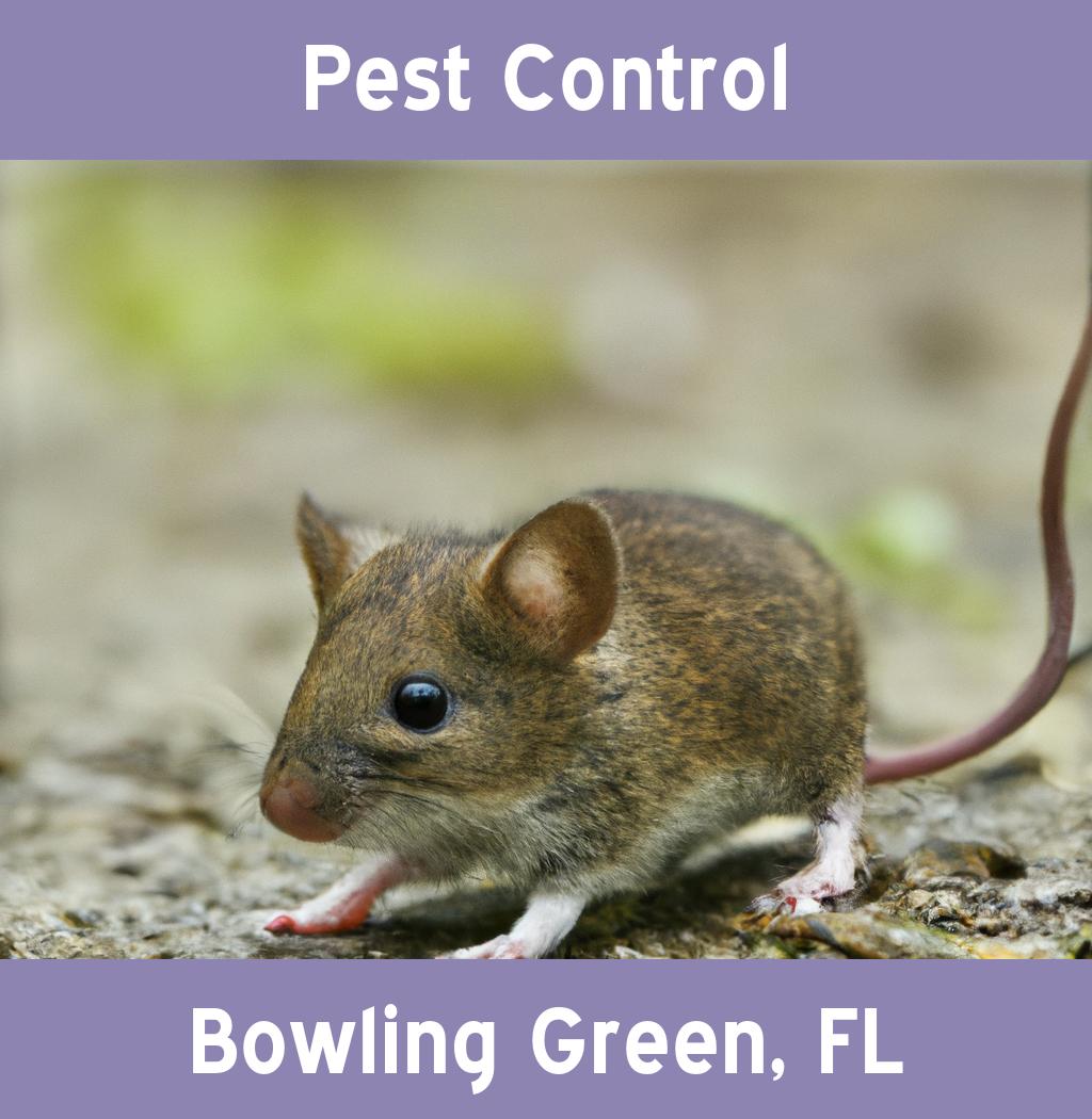 pest control in Bowling Green Florida