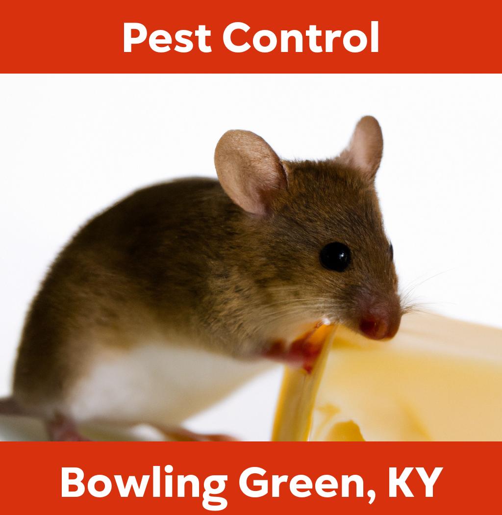 pest control in Bowling Green Kentucky