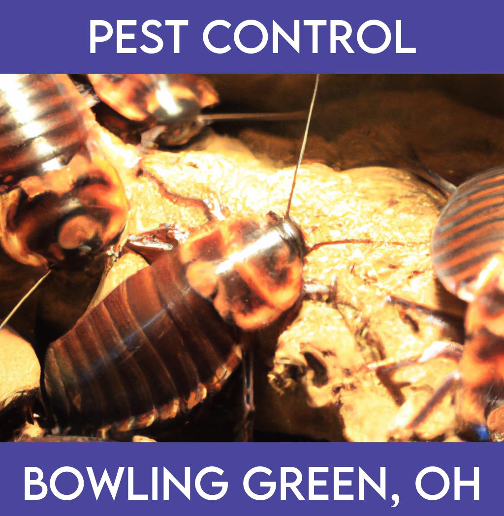 pest control in Bowling Green Ohio