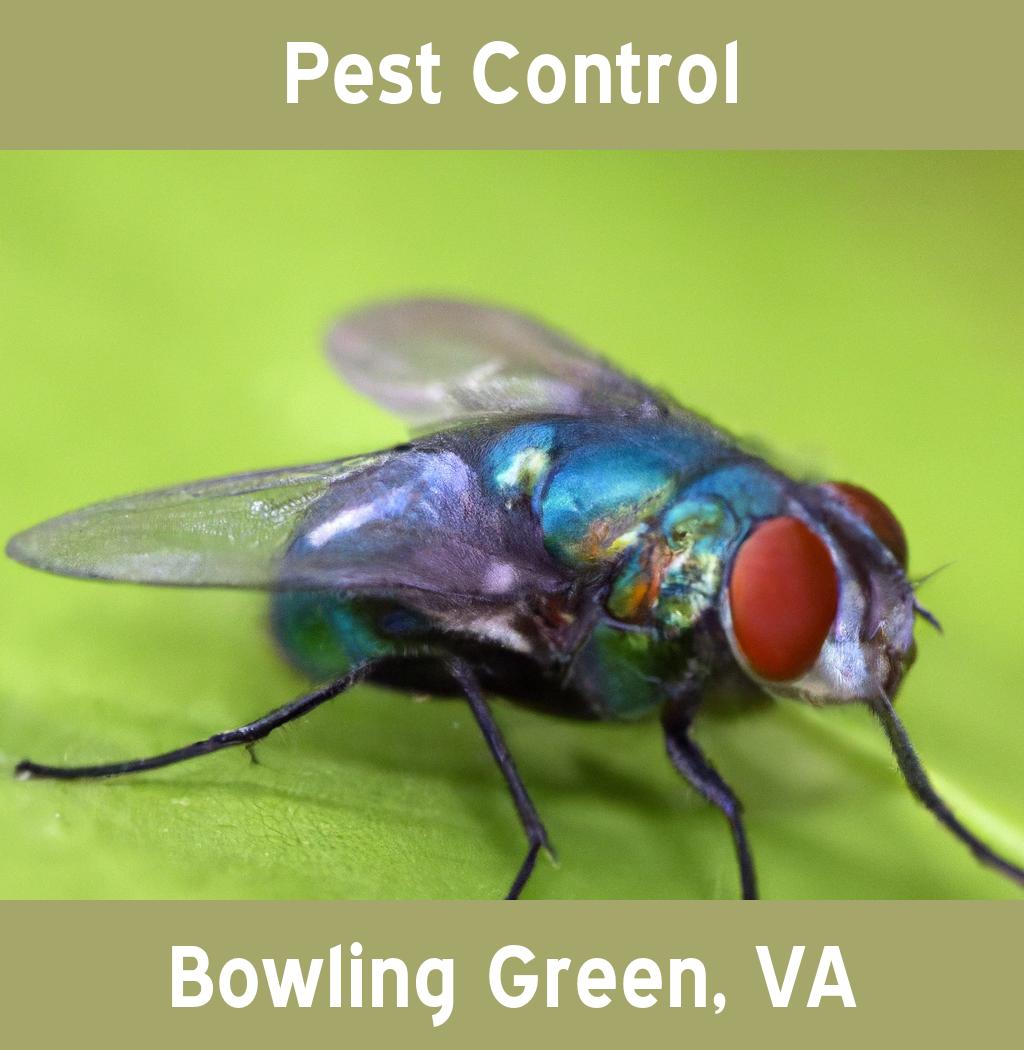 pest control in Bowling Green Virginia