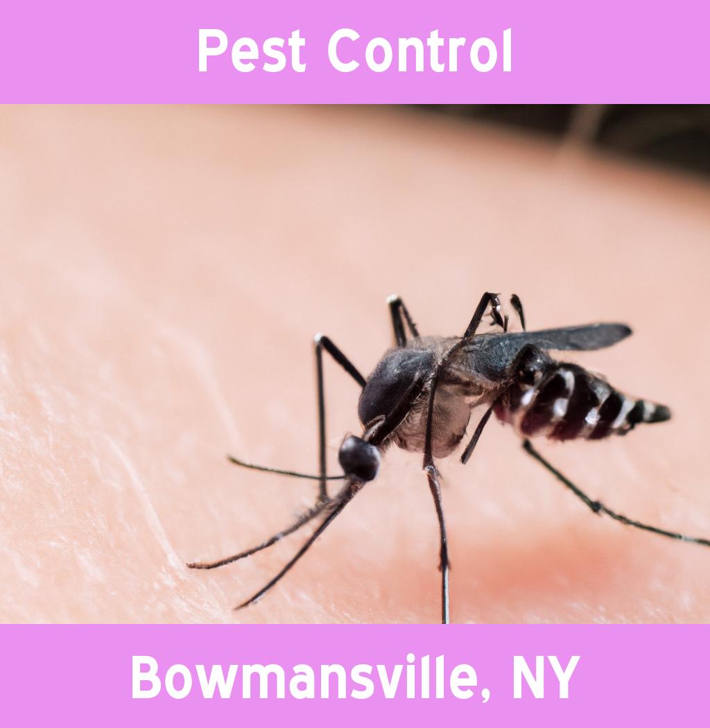 pest control in Bowmansville New York
