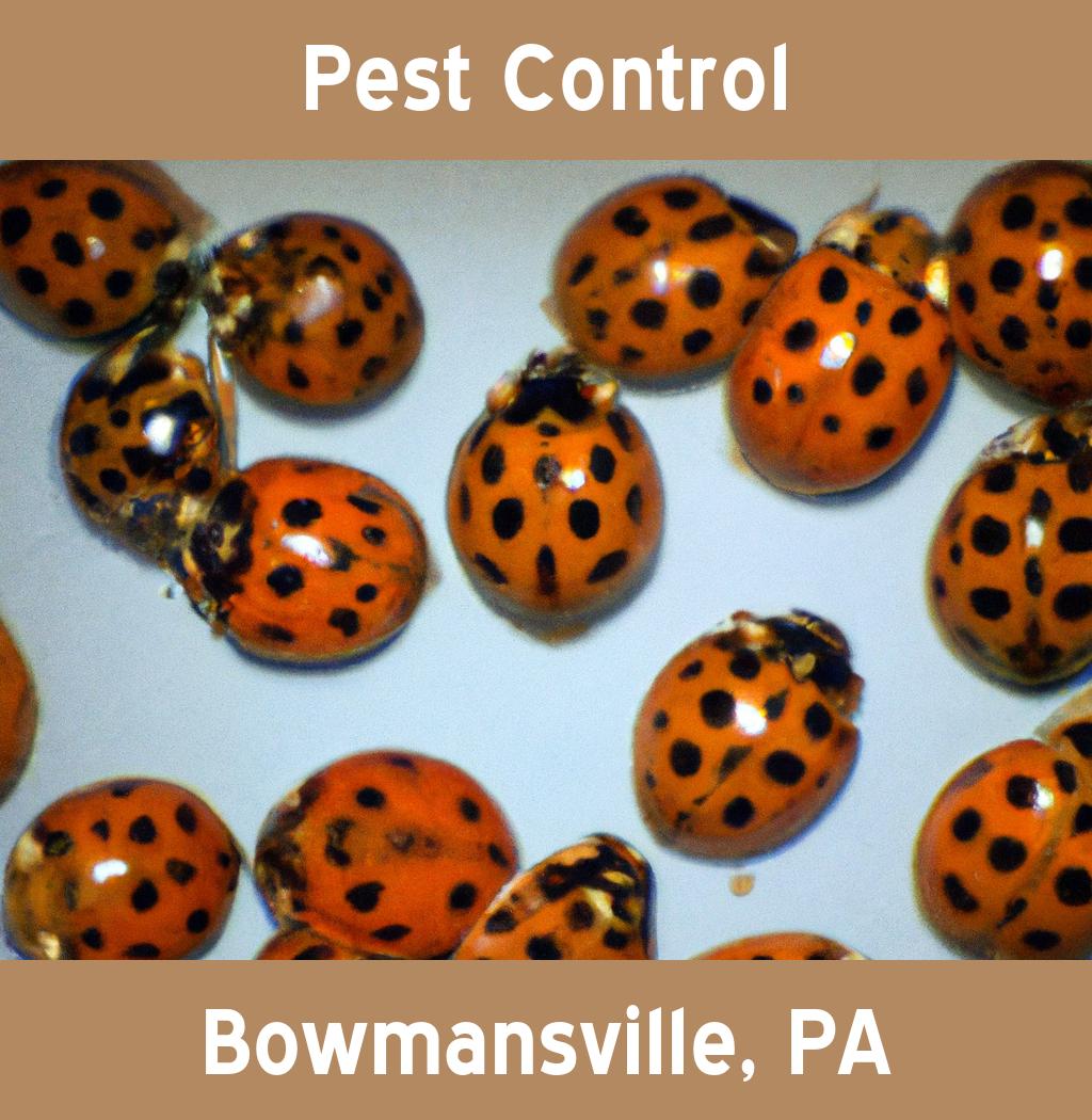 pest control in Bowmansville Pennsylvania